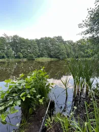 Selchower See (Mahlow)-2