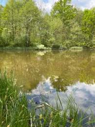 Selchower See (Mahlow)-4