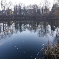 Körnersee (Berlin-Mahlsdorf)-3