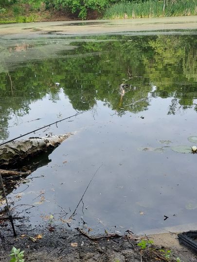 Körnersee (Berlin-Mahlsdorf)-4