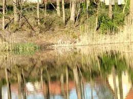 Körnersee (Berlin-Mahlsdorf)-2