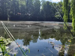 Körnersee (Berlin-Mahlsdorf)-3