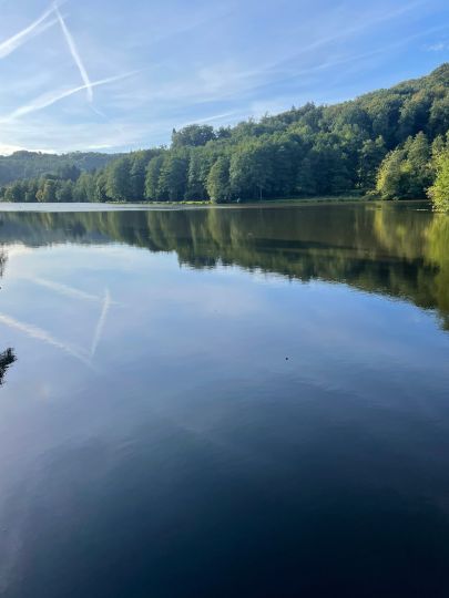 Würzbacher Weiher