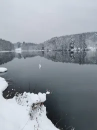 Würzbacher Weiher-3