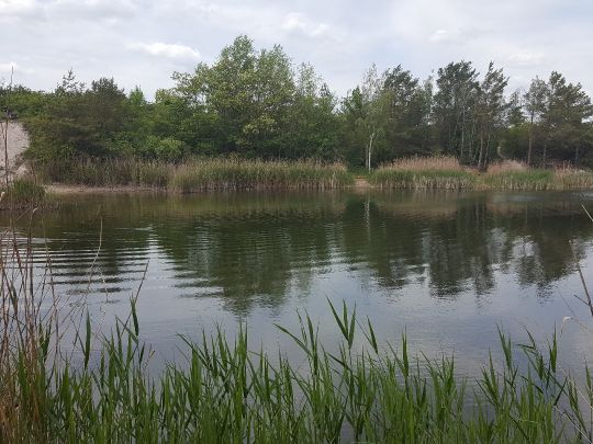 Müller´s Loch (Lieskau) angeln