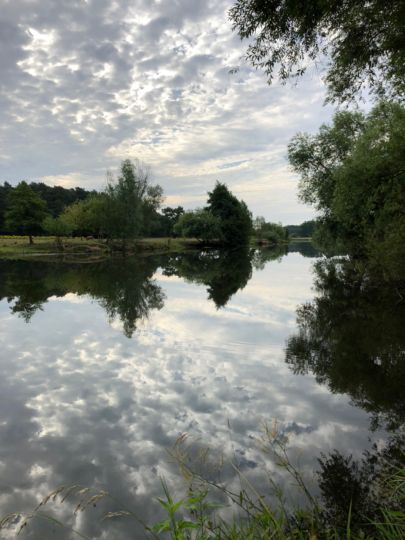 Aller (Hambühren)-0