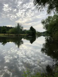 Aller (Hambühren)-3