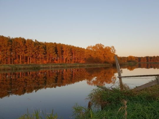 Aller (Hambühren)-4