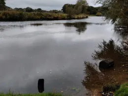 Aller (Hambühren)-4