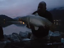 Großer Alpsee (Immenstadt)