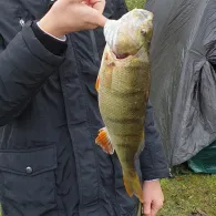 Großer Alpsee (Immenstadt)-3