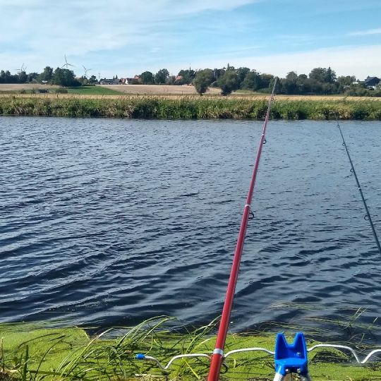 Leine (Schulenburg-Jeinsen) angeln