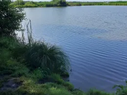 Torfstiche Jeserig-1