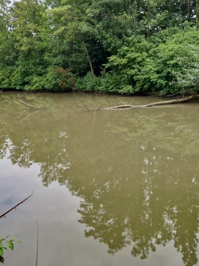 Freizeitparkteich Niederzier-2