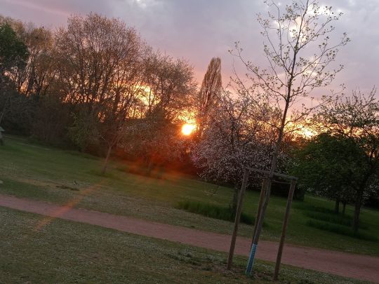 Freizeitparkteich Niederzier-1