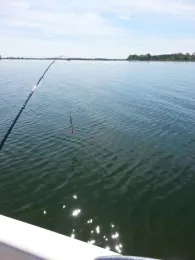 Strelasund (Stahlbrode)-4