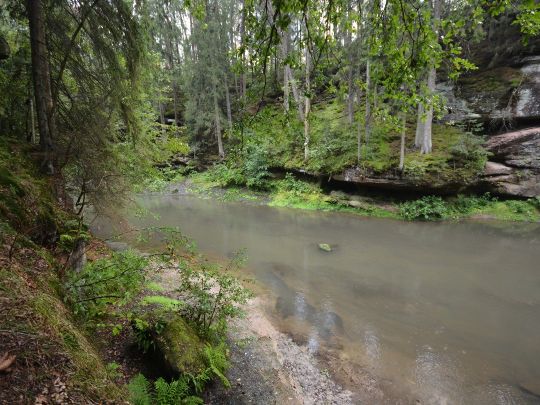 Schwarzach (Schwarzenbruck)-3