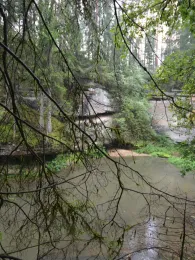 Schwarzach (Schwarzenbruck)-4