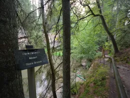 Schwarzach (Schwarzenbruck)-2