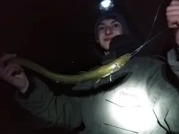 Emder Stadtgewässer-3