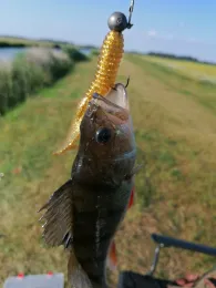 Emder Stadtgewässer-4