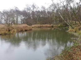 Alte Elde (Grabow)-2