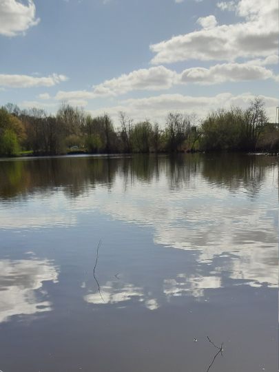 Rückhaltebecken Krohnstieg (Bornbachstausee)-4