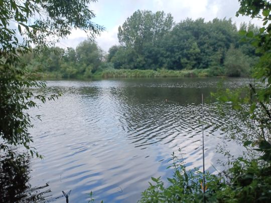 Rückhaltebecken Krohnstieg (Bornbachstausee)-3