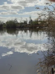 Rückhaltebecken Krohnstieg (Bornbachstausee)-1