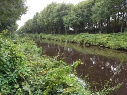 Ems-Jade-Kanal (Holtrop)-2