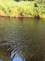 Ems-Jade-Kanal (Holtrop)-1