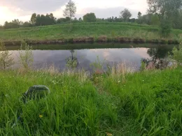 Ems-Jade-Kanal (Holtrop)