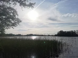 Großer See (Brüssow)-3