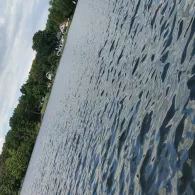 Seechen (Bestensee)-2