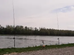 Rhein (Neuburg am Rhein)