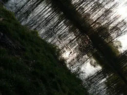 Lehmgrube Neukirchen