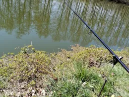 Lehmgrube Neukirchen-1