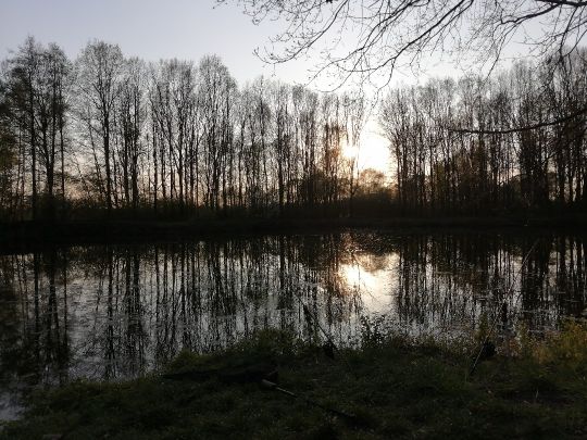 Lehmgrube Neukirchen-4