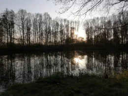 Lehmgrube Neukirchen-4