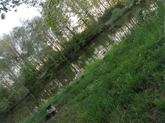 Lehmgrube Neukirchen-3