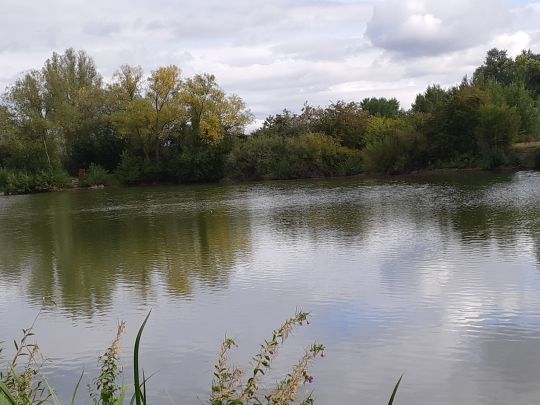 Vereinssee ASV Palandsmühle-2