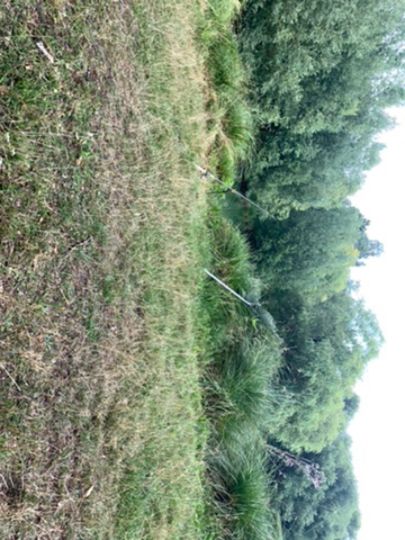 Vereinssee ASV Palandsmühle-1