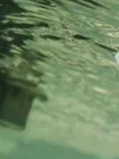 Pleiße (Altenburg)-3