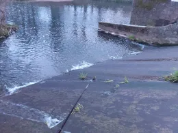 Pleiße (Altenburg)-2