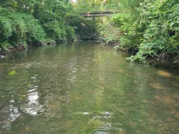 Wandse (Hamburg-Wandsbek)-1