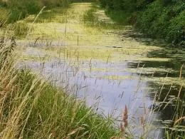 Keizersbeek-1