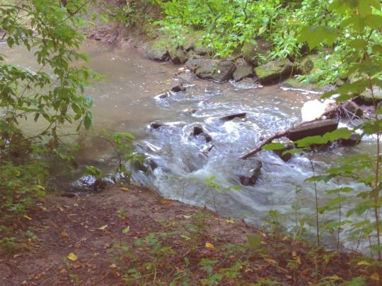 Mühlenbach (Löhne)-2