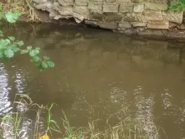 Mühlenbach (Löhne)-1