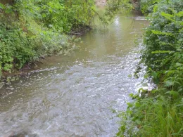 Mühlenbach (Löhne)-3