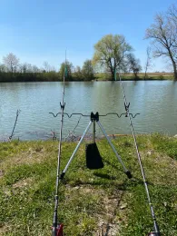 Hoferweiher (Steindorf)